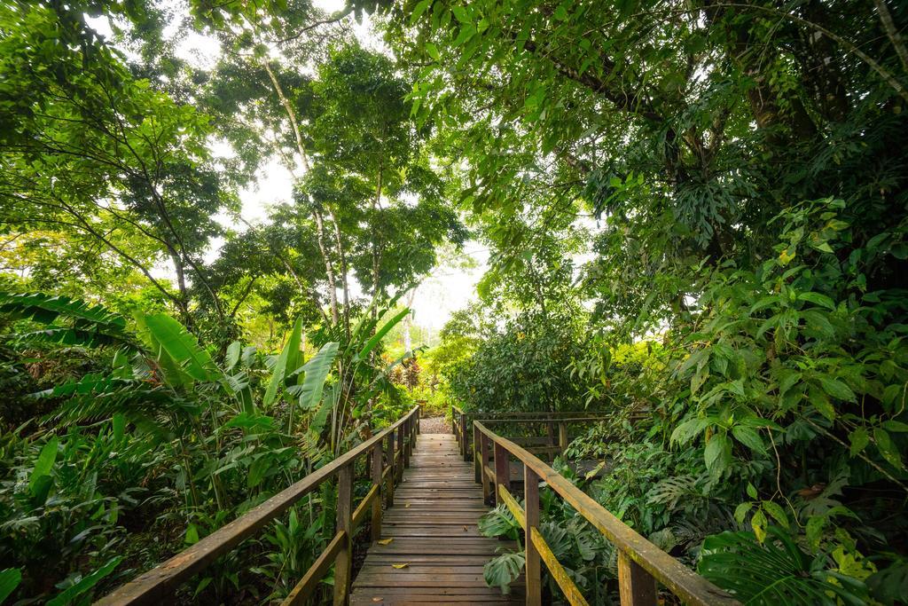 Blue River Resort & Hot Springs ลิเบเรีย ภายนอก รูปภาพ