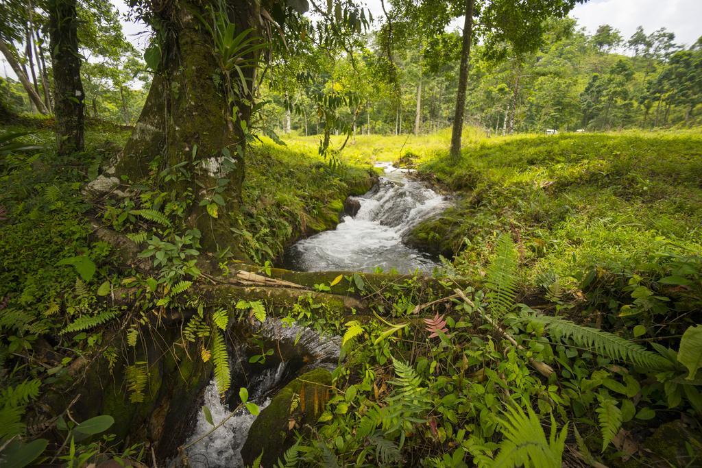 Blue River Resort & Hot Springs ลิเบเรีย ภายนอก รูปภาพ