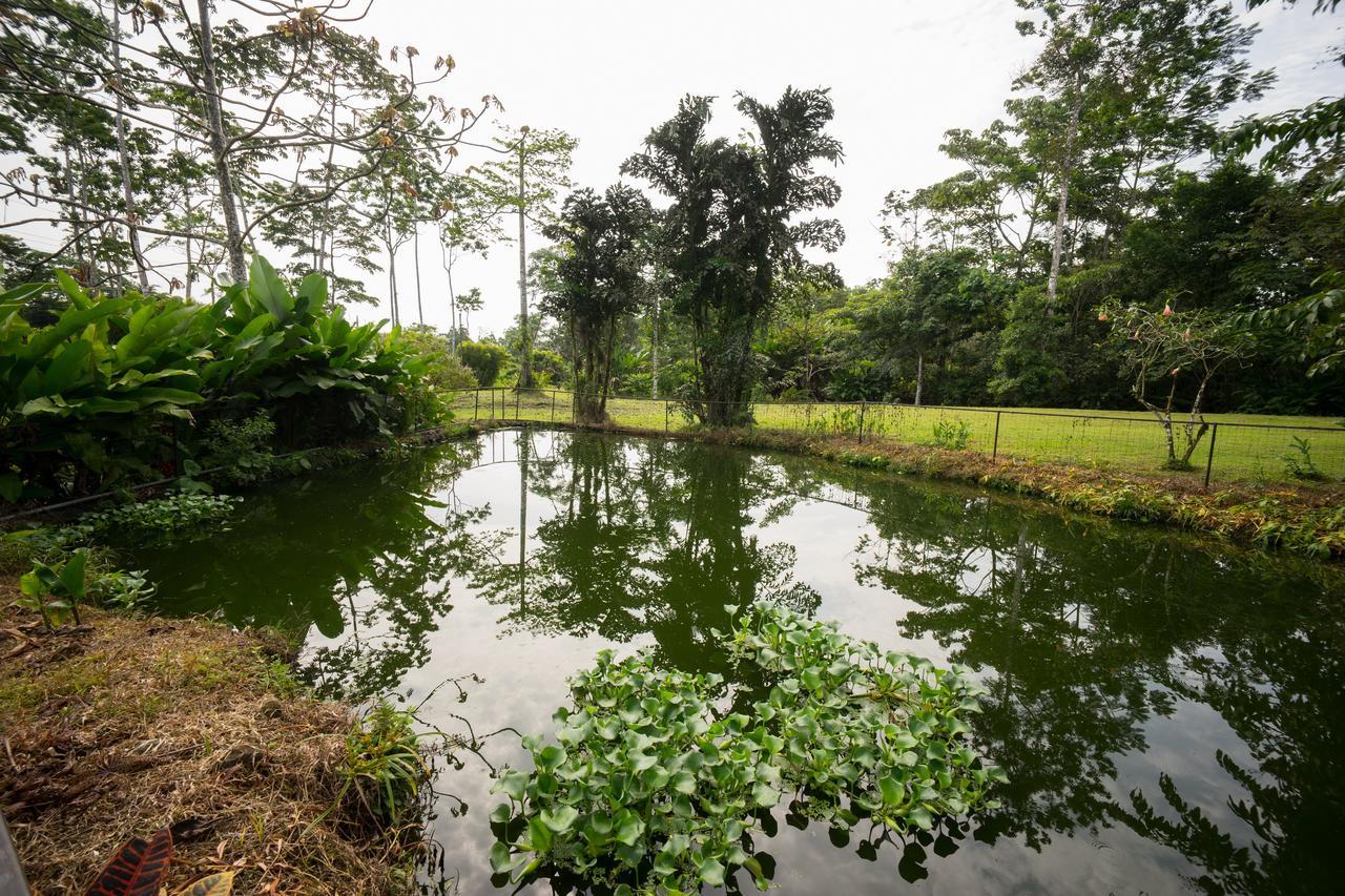 Blue River Resort & Hot Springs ลิเบเรีย ภายนอก รูปภาพ
